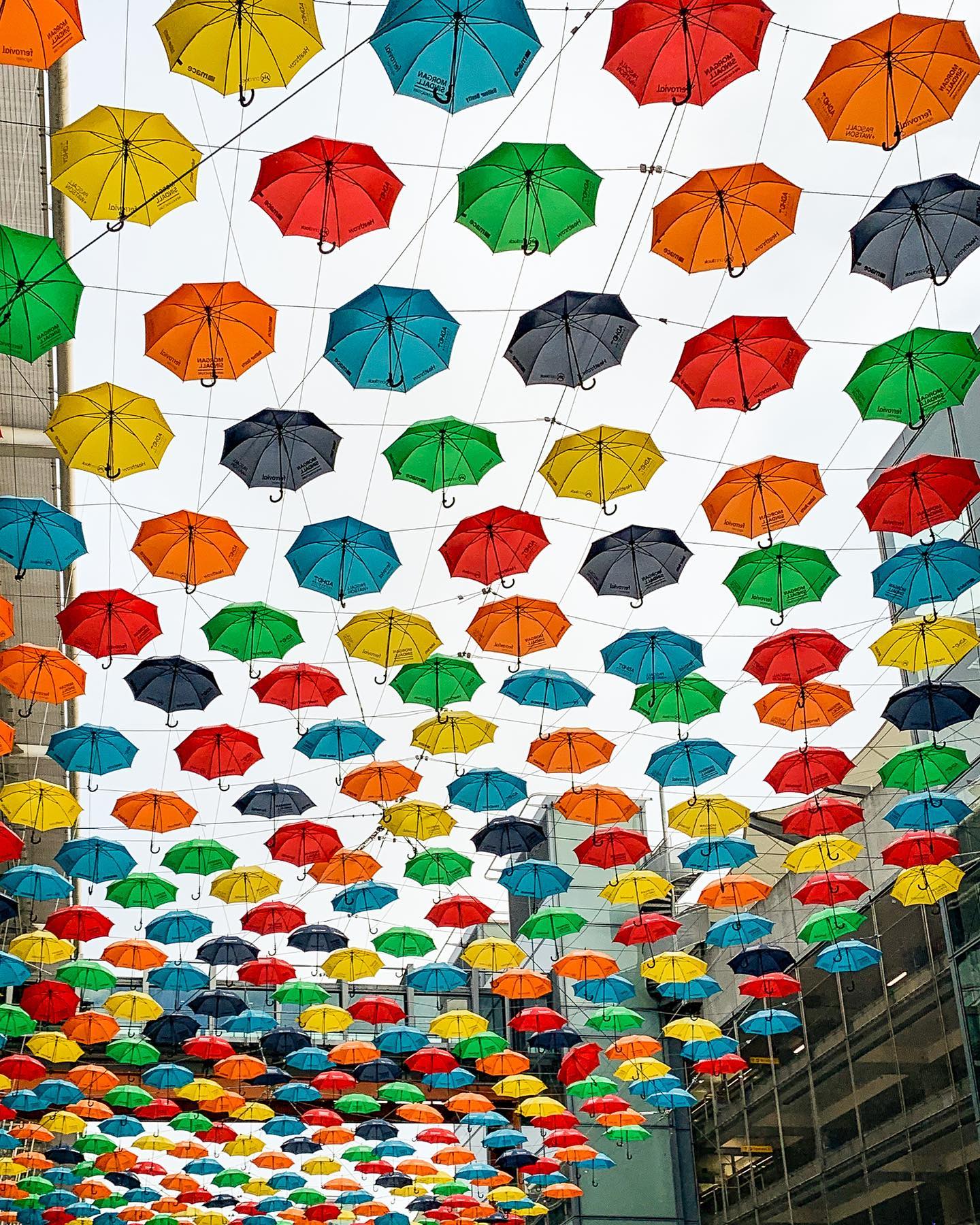 Umbrella team #umbrella #umbrellas #photographer #photography #photographerlondon #photographyserviceslondon #photographyservicebuckinghamshire #photographyserviceberkshire
